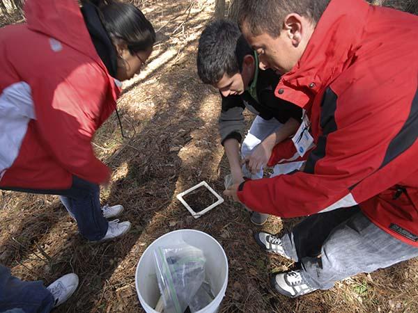 Students collect a sample from the forest floor at one of Colgate’s field sites.