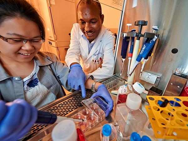 A Colgate student works with biology professor Engda Hagos on cancer research during a summer internship