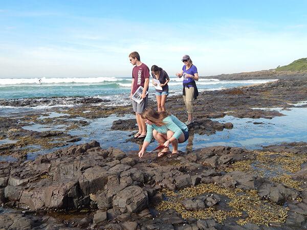  A Colgate faculty member explains a concept to several students inspecting specimens on the Australia coast.