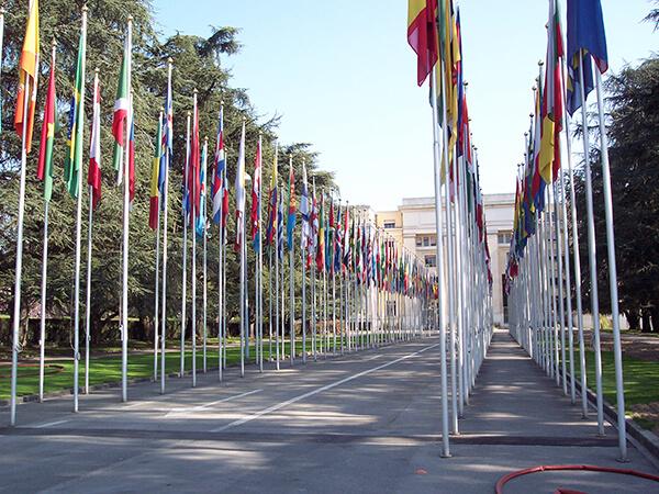 A series of flags on poles outside the United Nations headquarters in Geneva