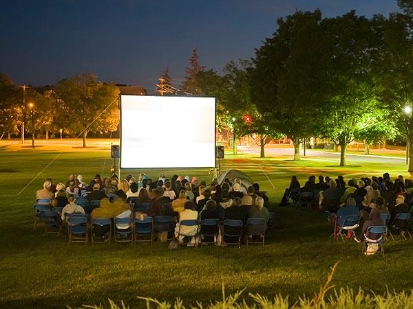 Screening of a film on Whitnall Field