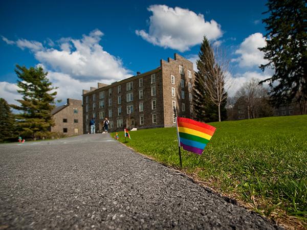Pride flags lining a campus walkway