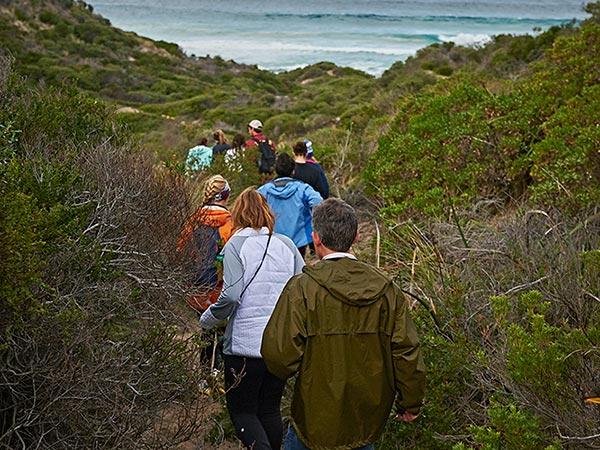 Geography students and Professor Adam Burnett approach the Australian coast on foot