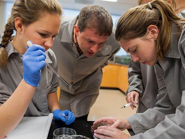Professor Jason Meyers oversees two students working in a laboratory