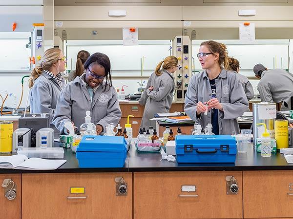 Students work in the organic chemistry laboratory