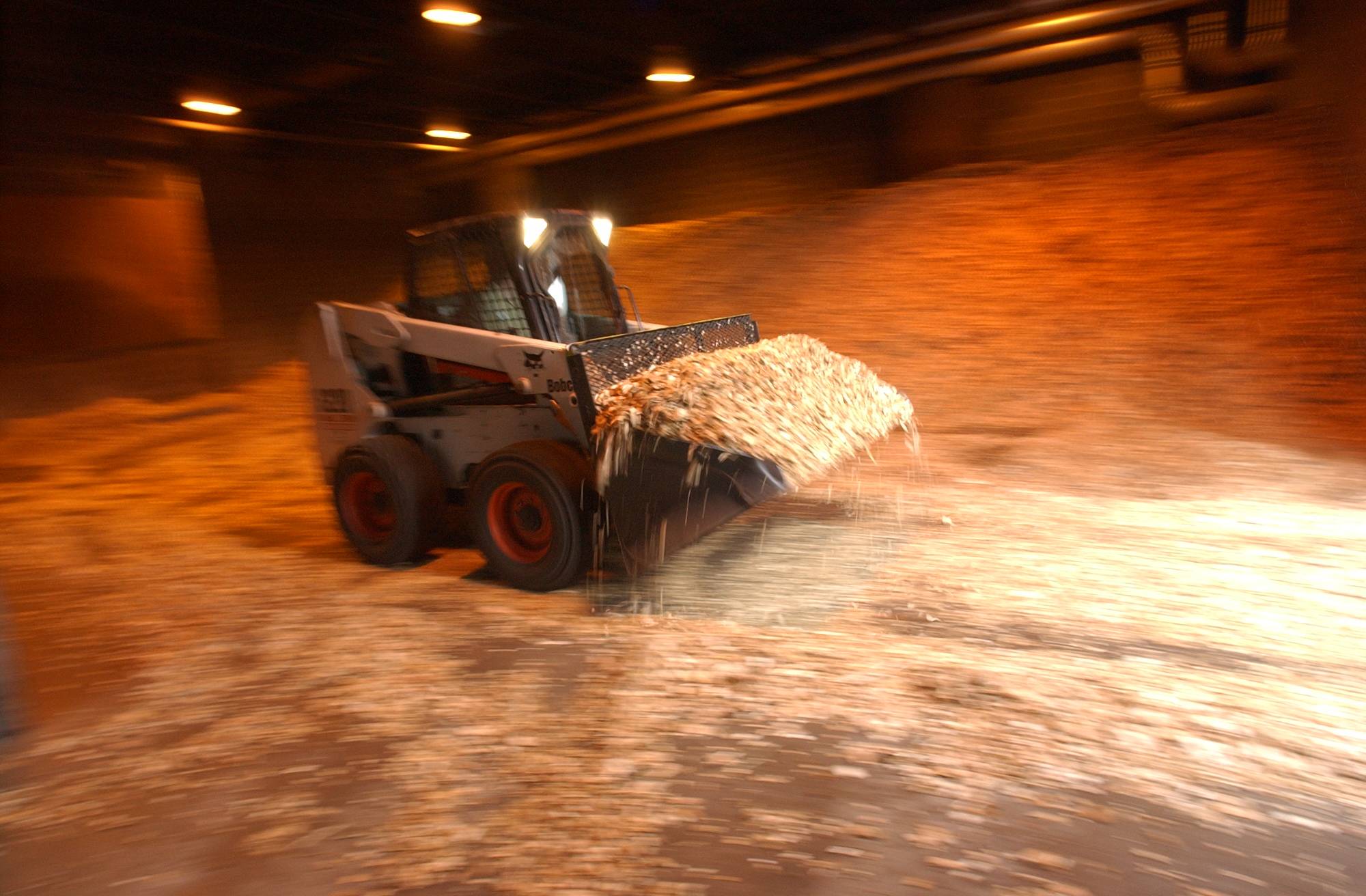 Bobcat moving wood chips