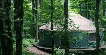 The yurt at the Beattie Reserve