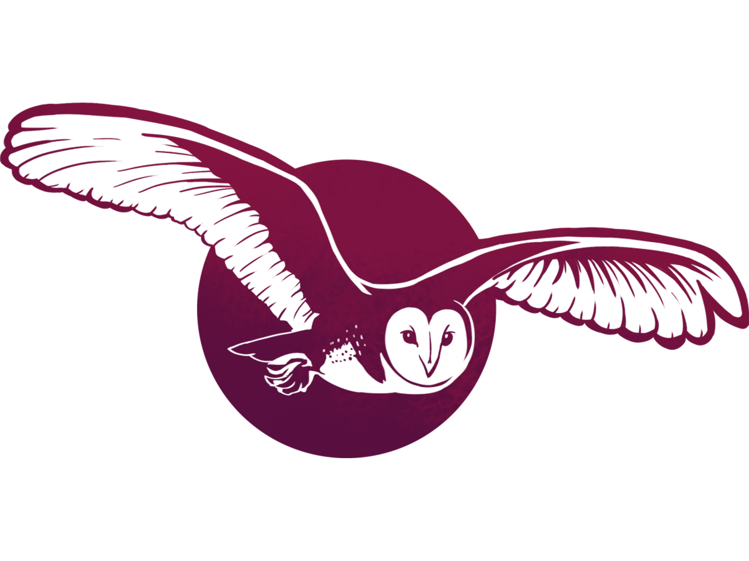 Far Owl Studios logo