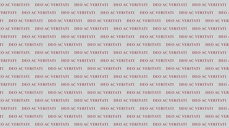 pattern of Deo Ac Veritati repeated