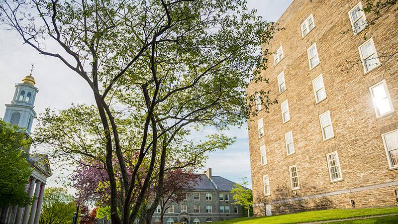 Exterior shot of Colgate quad