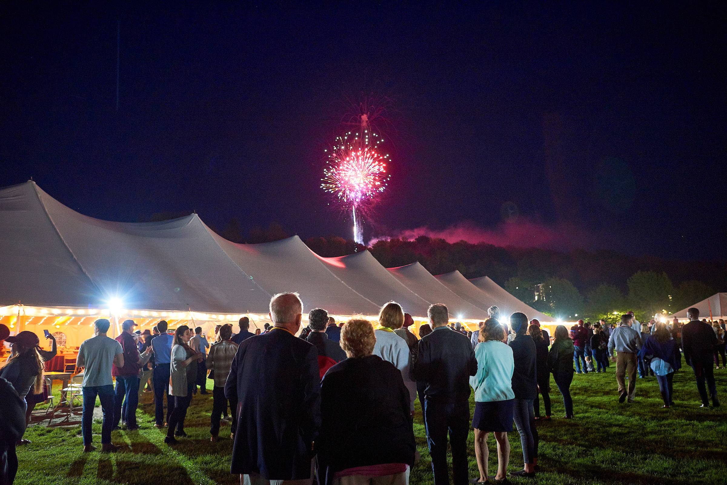 Reunion Fireworks on Whitnall Field