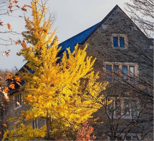 Colgate Fall Scenic