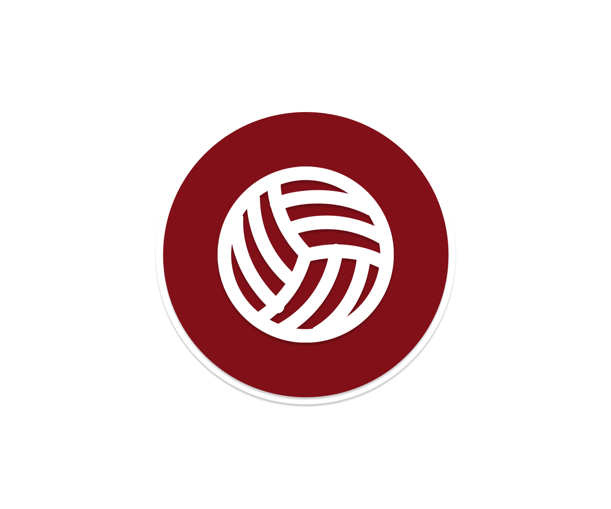 Volleyball icon