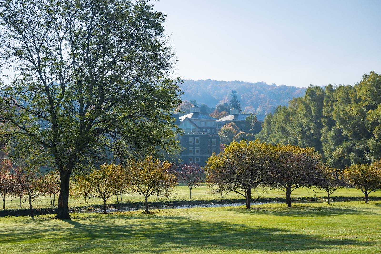 Scenic view of campus