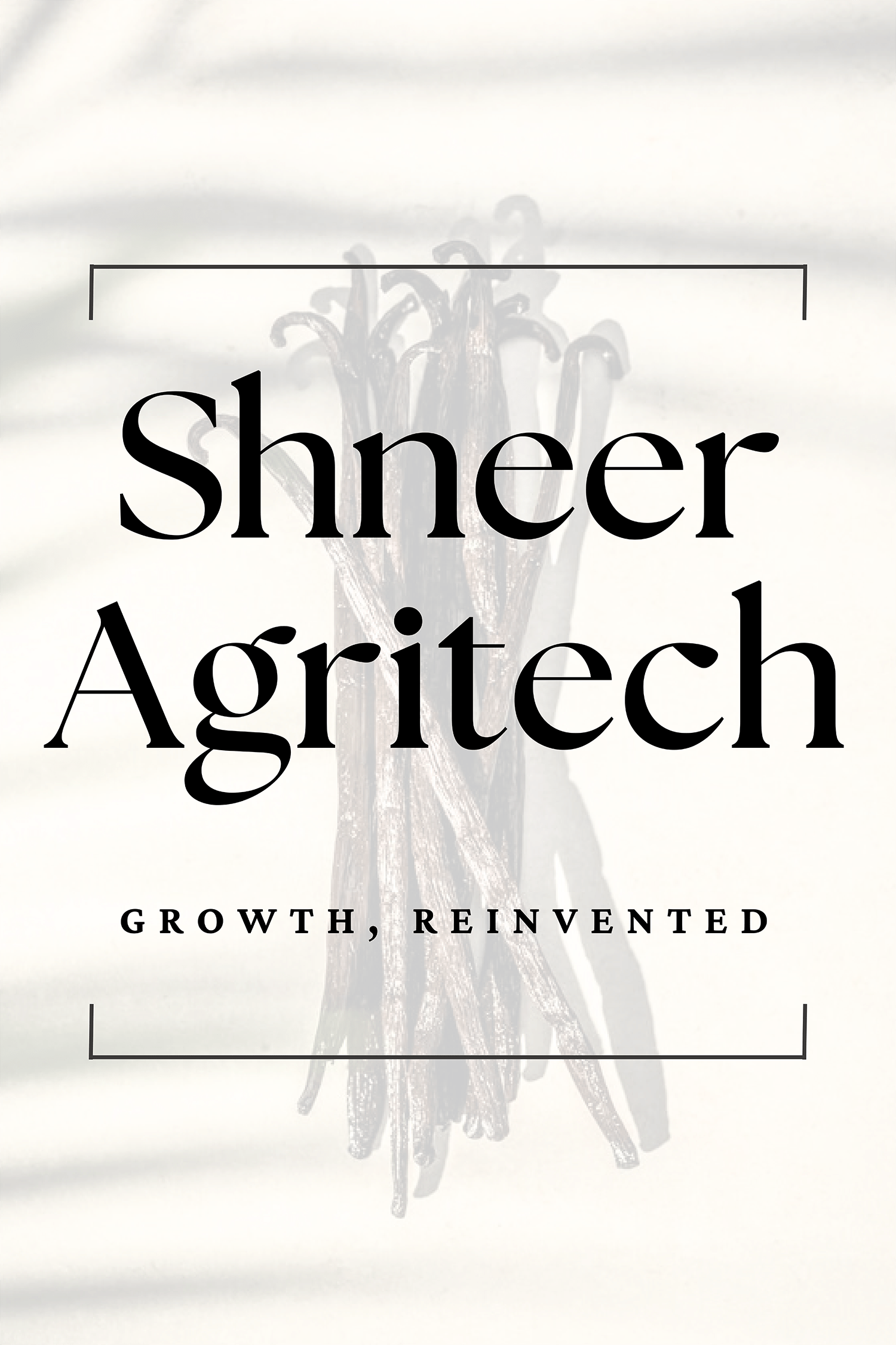 shneer