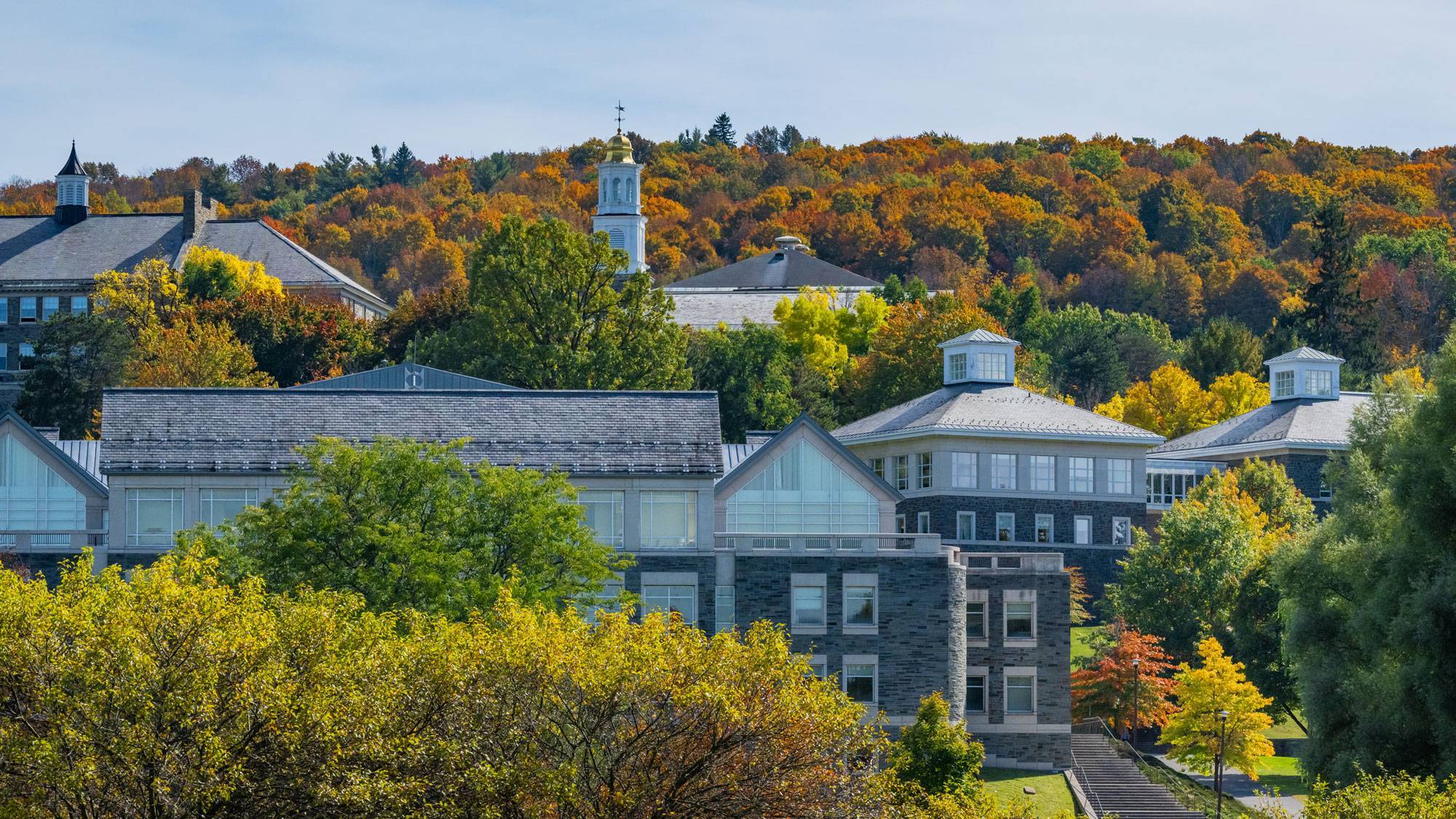 A scenic view of campus during the fall
