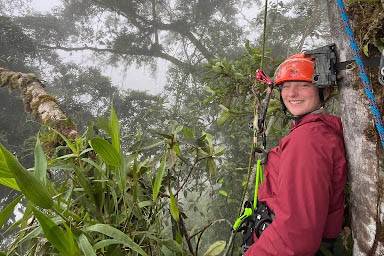 A student researcher climbing trees in the rainforest