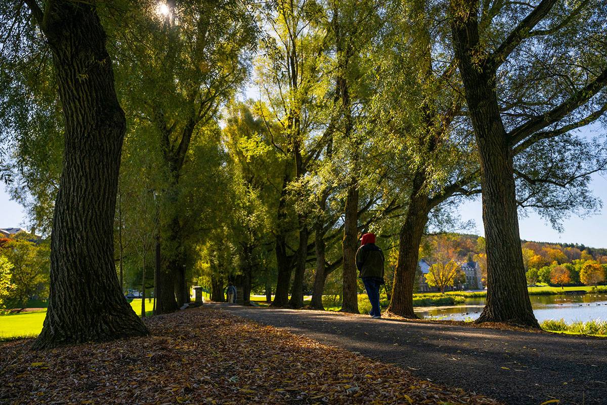 A person walks along Willow Path