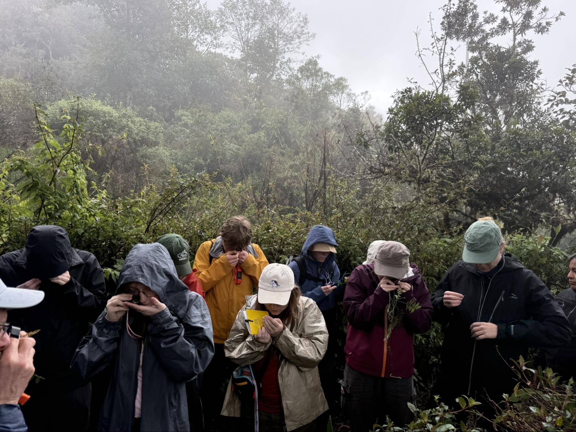 Students observe and attempt to identify plant specimens with hand-held magnifying lenses.