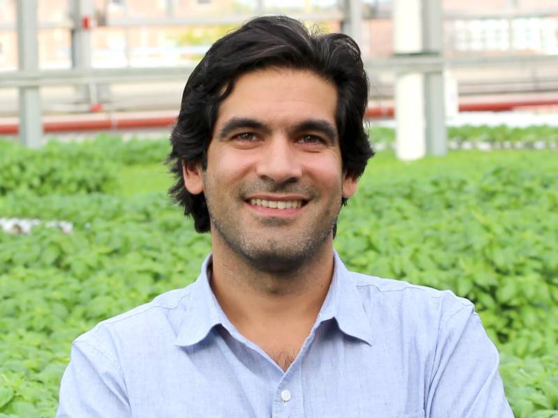 A medium close-up portrait shows a man with dark, wavy hair and a slight smile standing in a lush greenhouse filled with rows of vibrant green plants. He is wearing a light blue button-down shirt and is positioned centrally against a softly blurred background of agricultural structures and leafy vegetation.