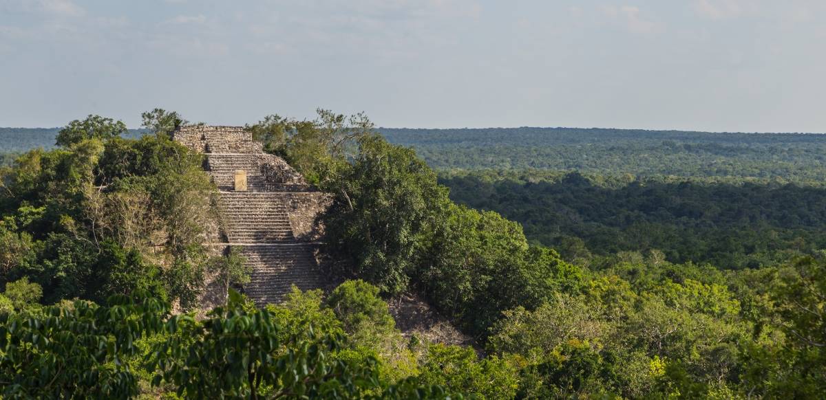 Calakmul maya ruins in State of Campeche_Jan 20 2018_shutterstock_1005663643 (1)