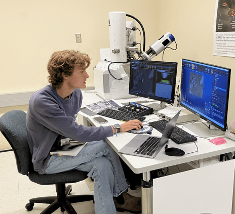 Student using SEM