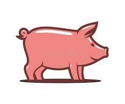 pink cartoon pig