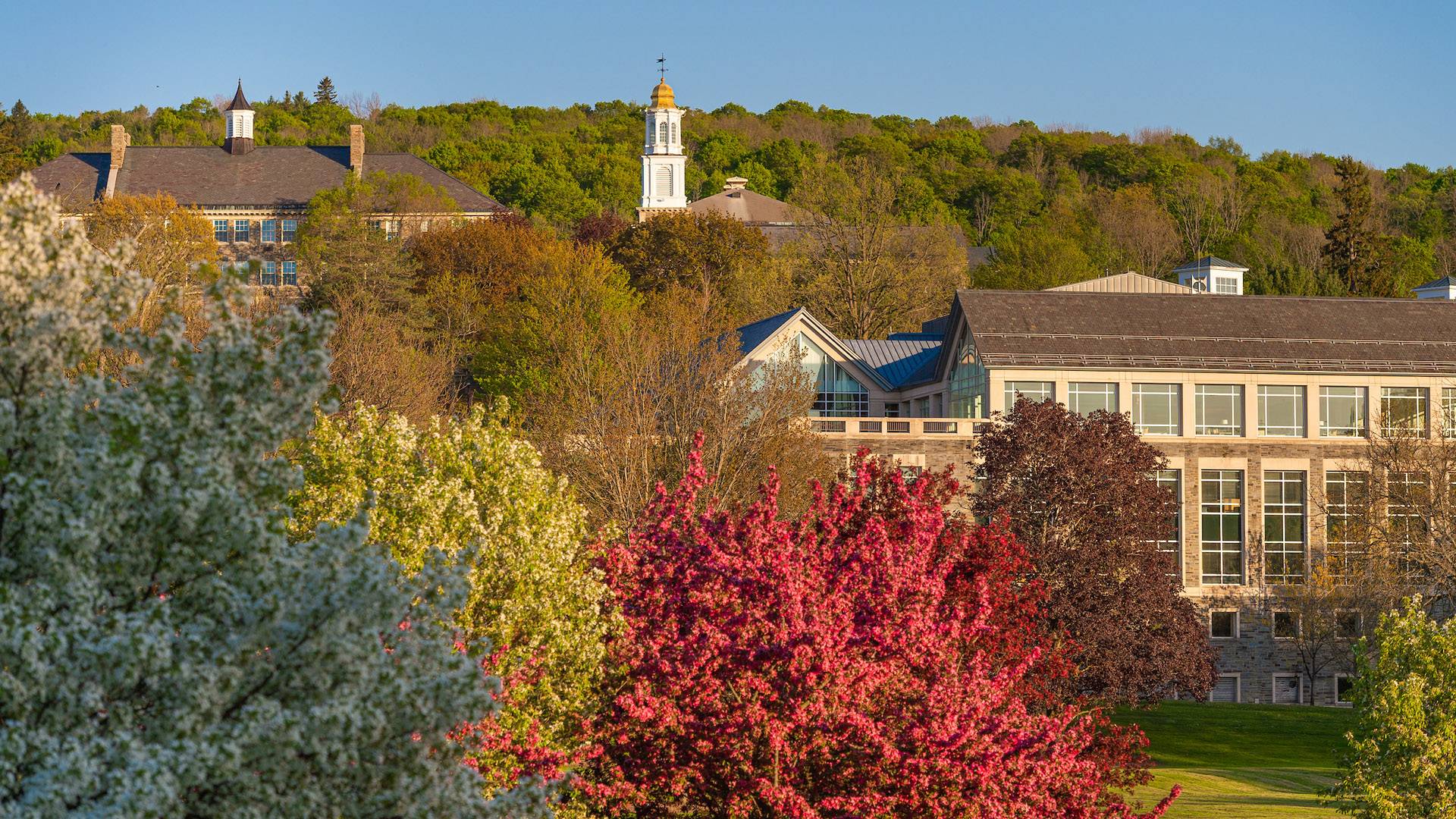Campus scenic in spring