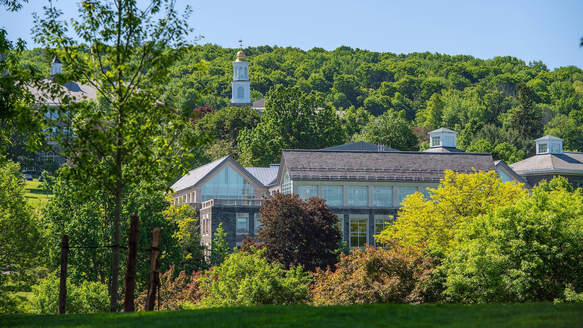 Campus hillside in summer