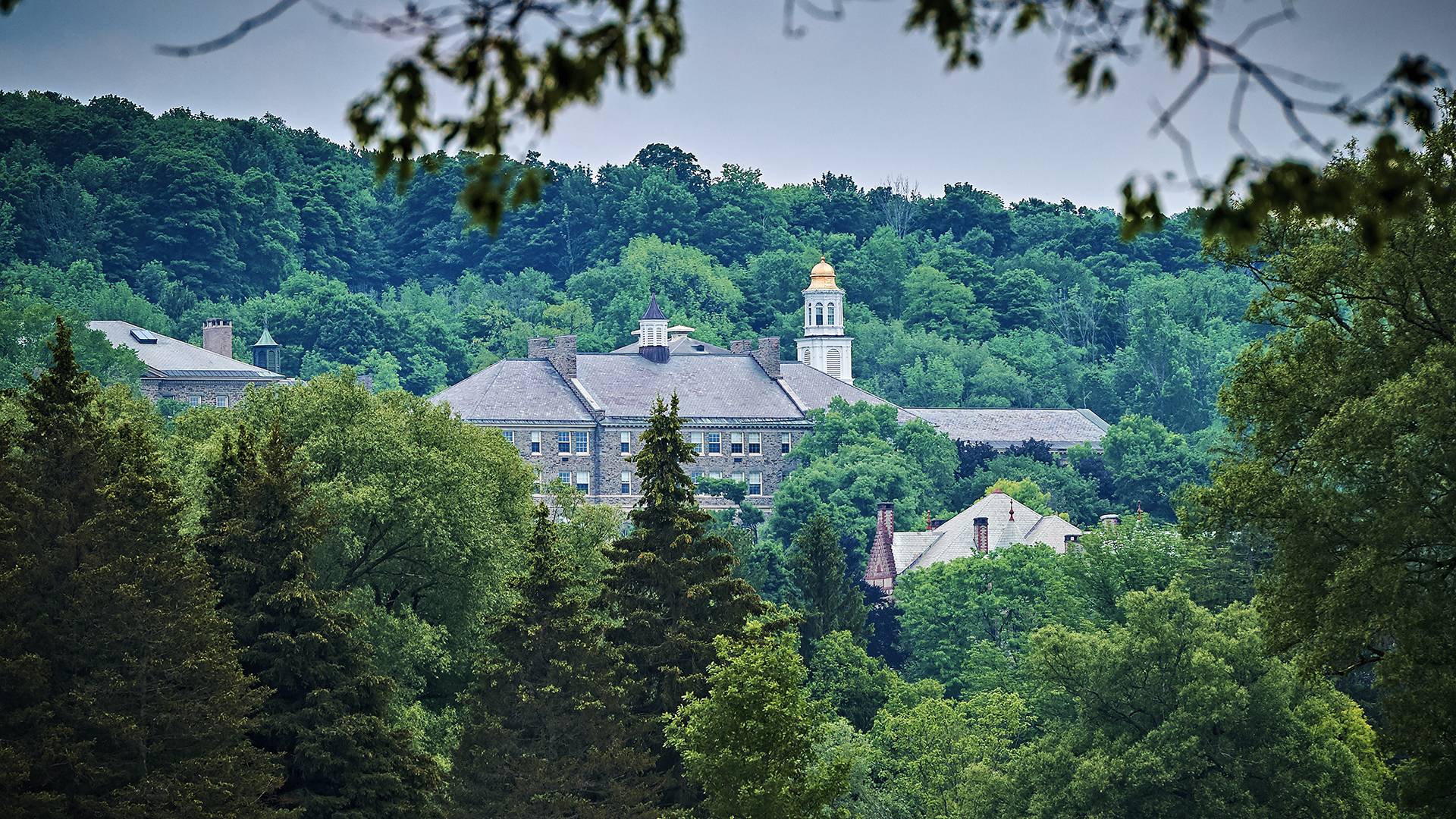 Campus in summer